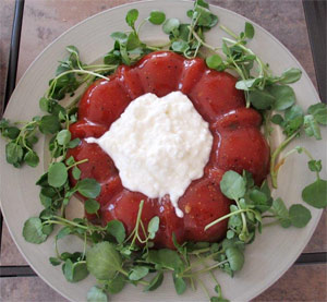 Tomato Aspic